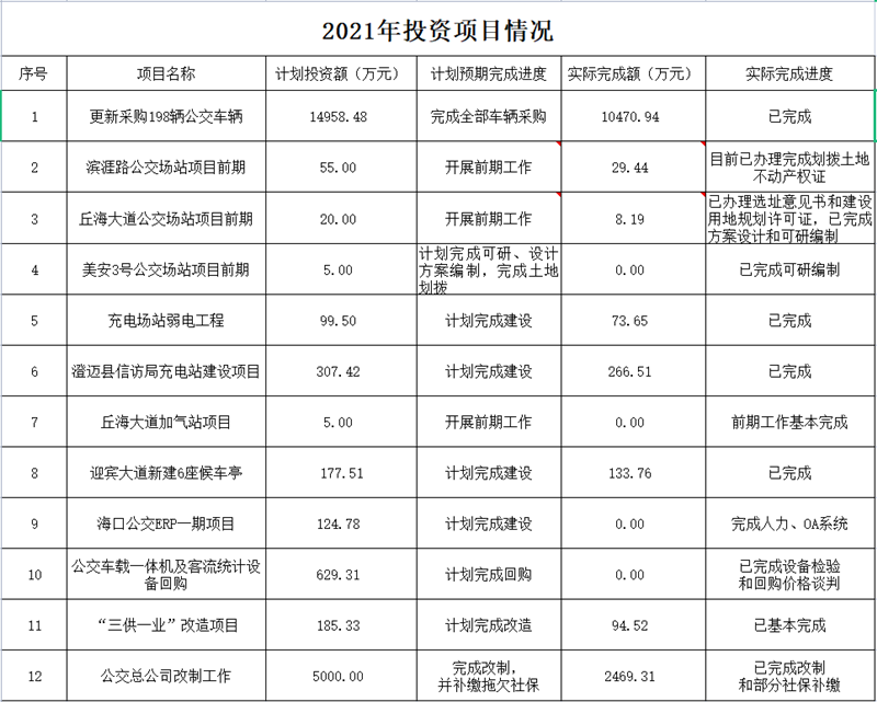 集團規(guī)劃部2021年投資項目情況_副本.png